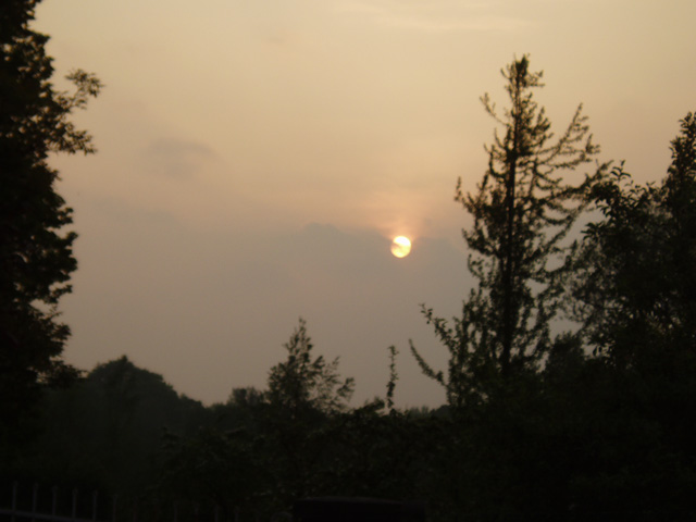 P1010007